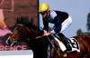 Le Vie Dei Colori - Premio Parioli (Italian 2.000 guineas)