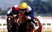 Le Vie Dei Colori - Premio Parioli (Italian 2.000 guineas)