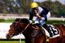 Le Vie Dei Colori - Premio Parioli (Italian 2.000 guineas)
