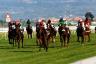 Golden Nepi - Premio Regina Elena (Italian 1.000 guineas)