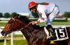 Golden Nepi - Premio Regina Elena (Italian 1.000 guineas)