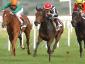 Rumba Loca - Premio Regina Elena (Italian 1.000 guineas) 