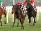 Rumba Loca - Premio Regina Elena (Italian 1.000 guineas)