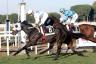 Premio Ribot - Porsenna