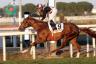 Premio Roma - Priore Philip